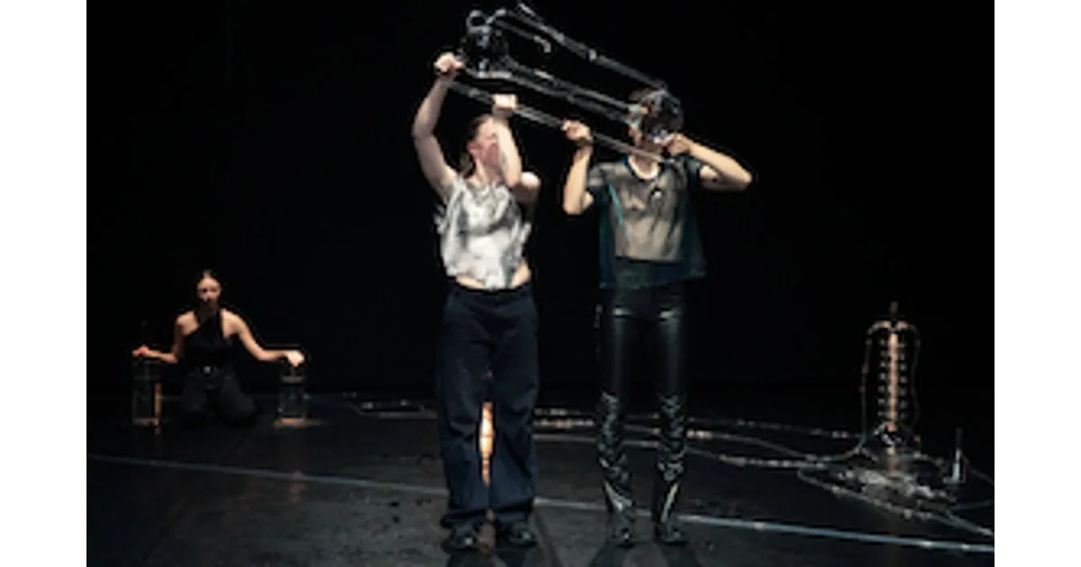 The Choreography of Water event poster