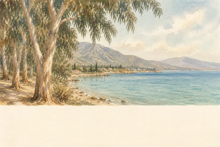 Watercolour illustration of Polis